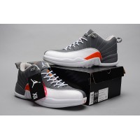 Мужские Баскетбольные Кроссовки Nike Air Jordan LOW-10